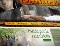 Cabaña La Lucila