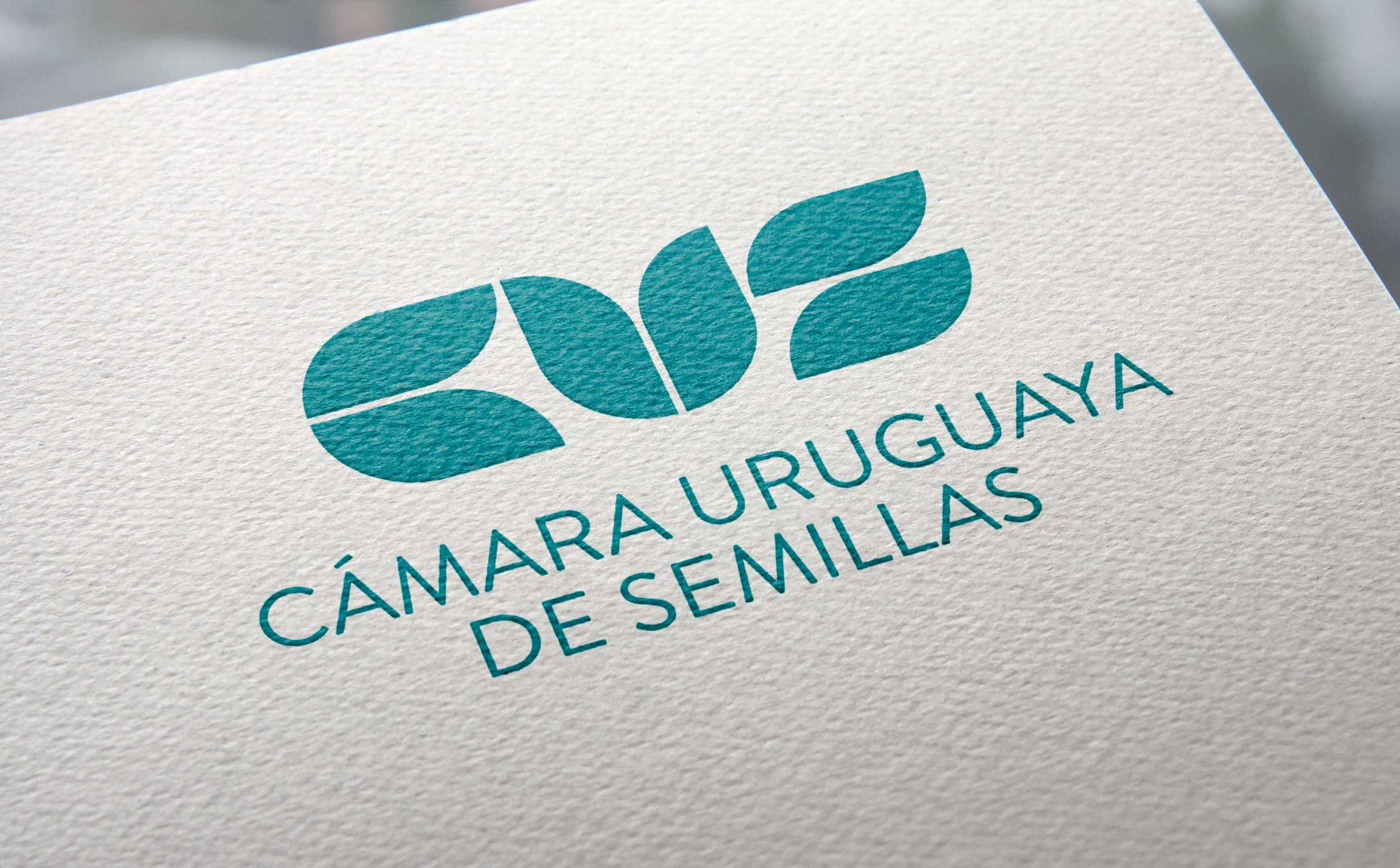 Logo design for CUS
